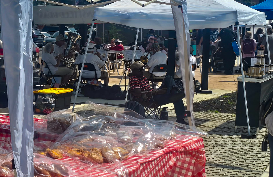 Shoppers and vendors at the Lansdowne Farmers Market